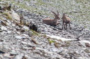 Traversata Diavolino/Diavolo e M.te Aga - FOTOGALLERY